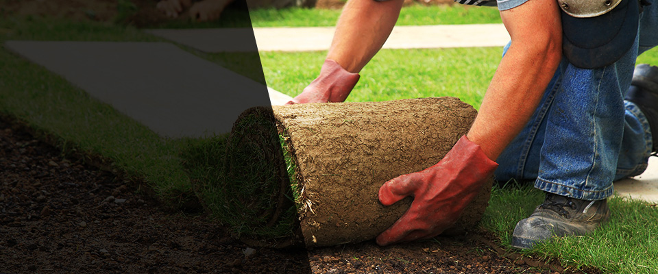 Damascus Landscapers